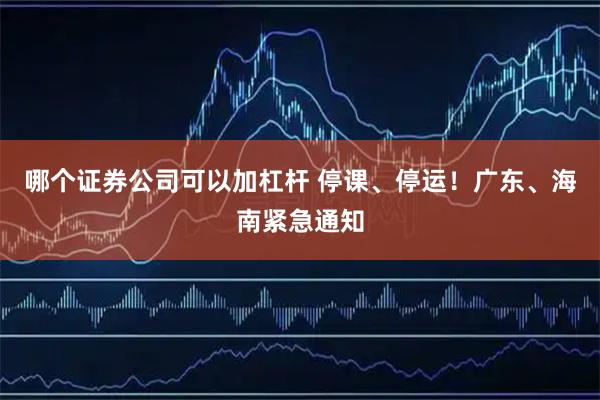 哪个证券公司可以加杠杆 停课、停运！广东、海南紧急通知