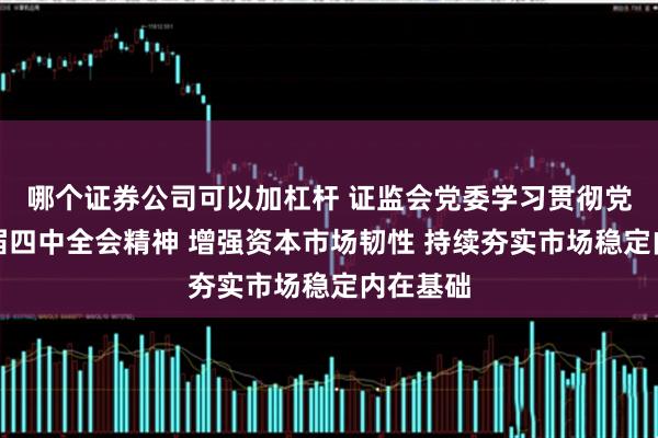 哪个证券公司可以加杠杆 证监会党委学习贯彻党的二十届四中全会精神 增强资本市场韧性 持续夯实市场稳定内在基础