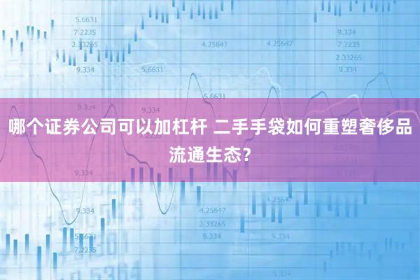 哪个证券公司可以加杠杆 二手手袋如何重塑奢侈品流通生态？