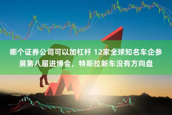 哪个证券公司可以加杠杆 12家全球知名车企参展第八届进博会,特斯拉新车没有方向盘