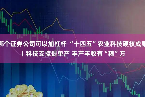 哪个证券公司可以加杠杆 “十四五”农业科技硬核成果丨科技支撑提单产 丰产丰收有“粮”方