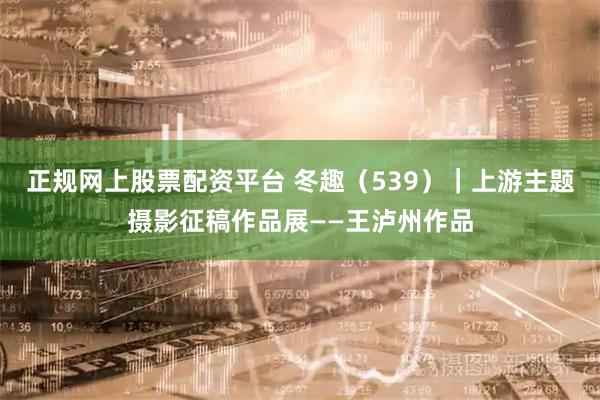 正规网上股票配资平台 冬趣（539）｜上游主题摄影征稿作品展——王泸州作品