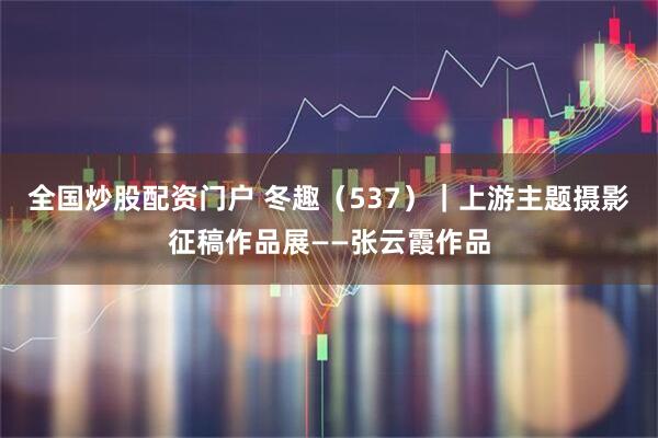 全国炒股配资门户 冬趣（537）｜上游主题摄影征稿作品展——张云霞作品