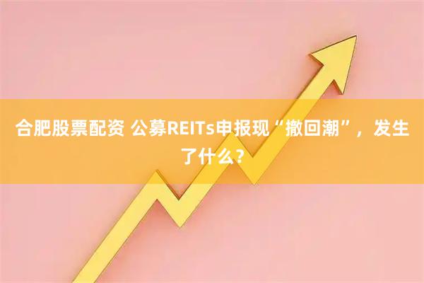 合肥股票配资 公募REITs申报现“撤回潮”,发生了什么?